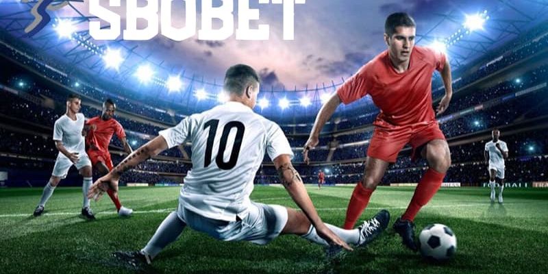 Nhung ly do giup anh em lua chon dung dan tai Kubet Những lý do giúp anh em lựa chọn đúng đắn tại Kubet